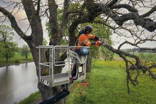 540 XP Mark III arborist ground crew campaign