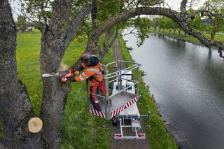 540 XP Mark III arborist ground crew campaign