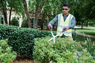 Hedge Shears - Precision. A person trimming hedges with garden shears in a park setting.