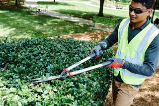 Hedge Shears - Coarse. A person trimming a hedge with a pair of garden shears in a park setting.